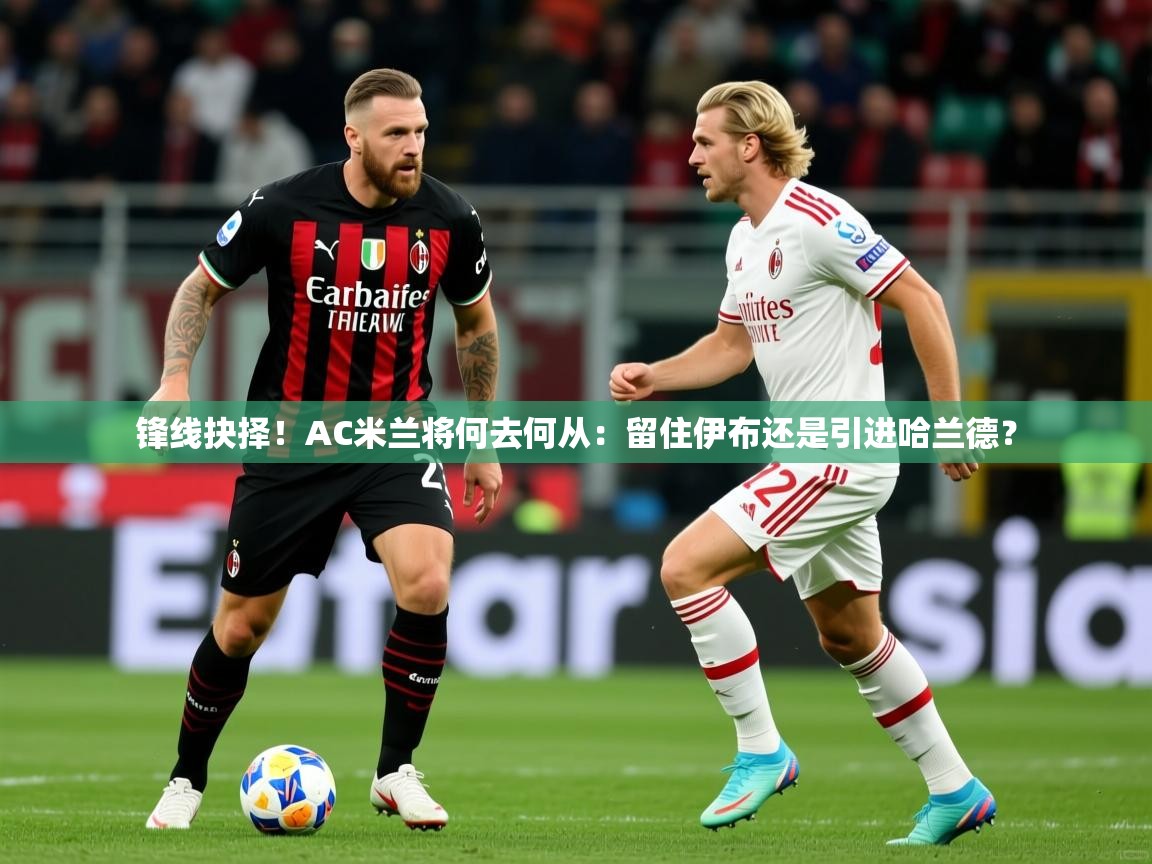 2025乐鱼体育app登录入口锋线抉择！AC米兰将何去何从：留住伊布还是引进哈兰德？  第2张