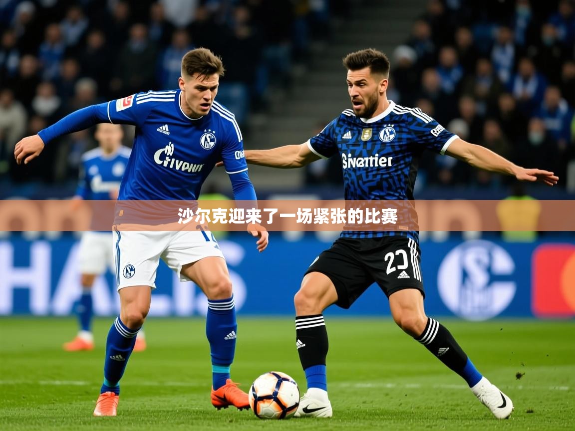 2026乐鱼体育在线登陆沙尔克迎来了一场紧张的比赛