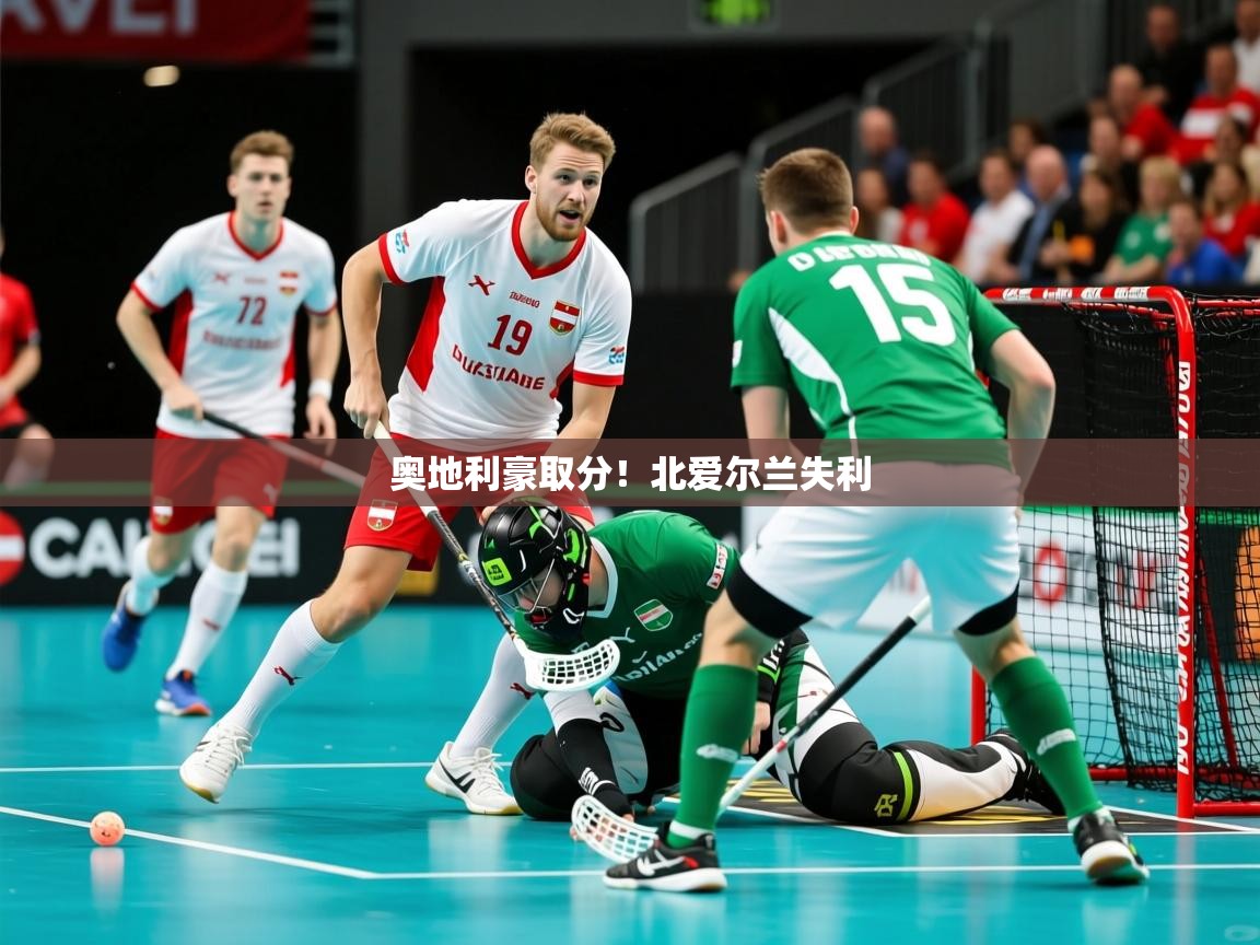 2026乐鱼体育入口登录官网app奥地利豪取分!北爱尔兰失利 第3张