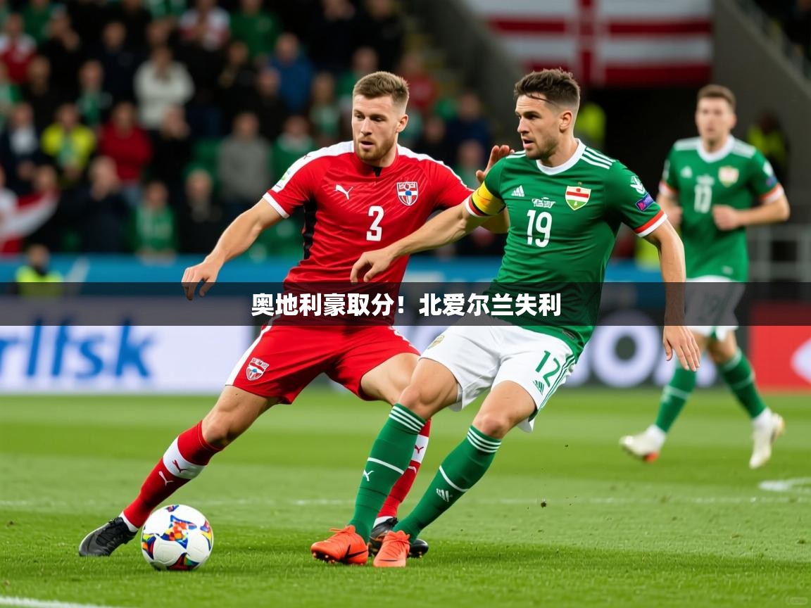 2026乐鱼体育入口登录官网app奥地利豪取分!北爱尔兰失利 第4张